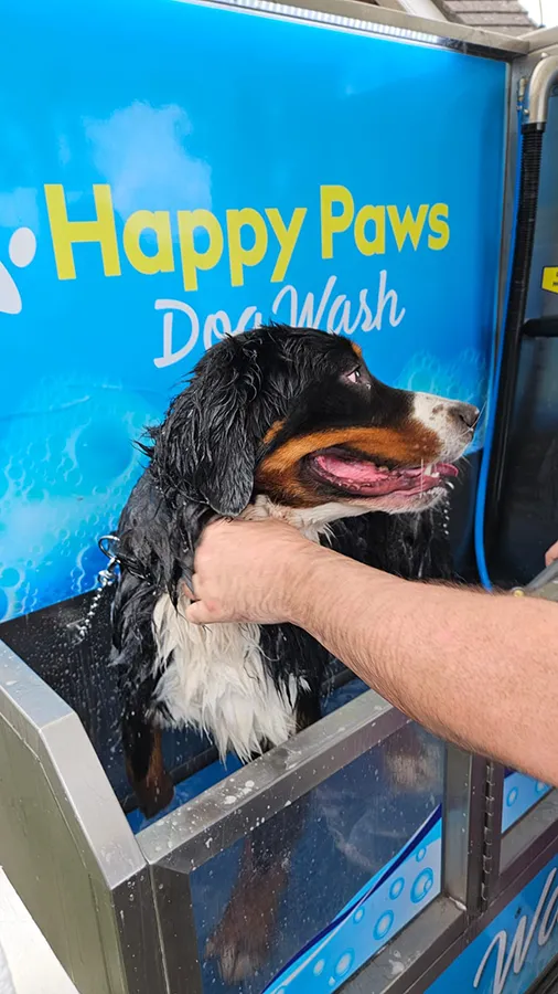 HappyPaws-Gallery6